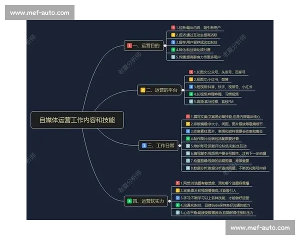 从自媒体新手到高手：全方位解析运营技巧与实战策略
